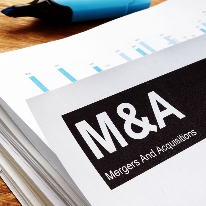 Understanding the M&A Landscape